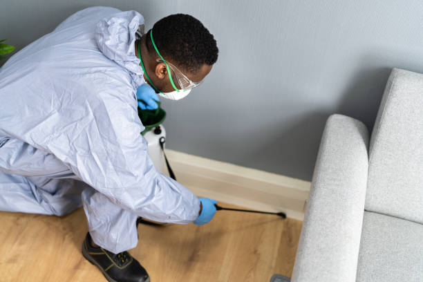 Best Real Estate Pest Inspections  in Dayton, WA